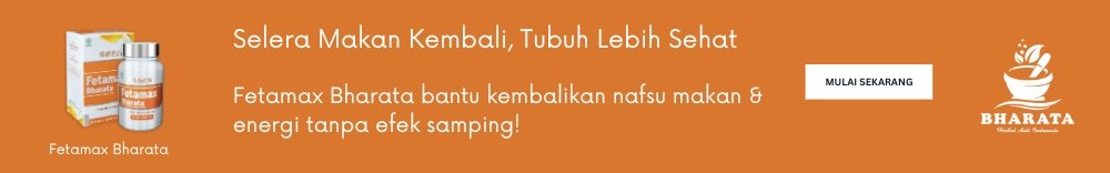 vitamin penambah selera makan solusi dokter fetamax bharata