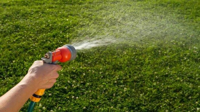 Mitos dan Fakta tentang Menelan Sperma - Wawasan Kesehatan Terpercaya